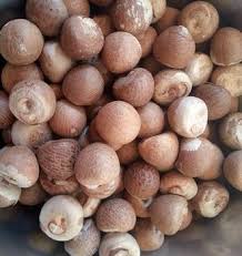 Organic Betel Nuts