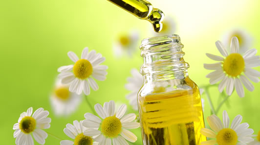 Organic Floral Absolutes Oil