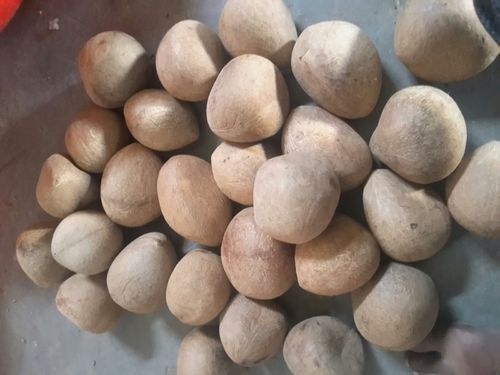 Organic Ball Coconut Copra, Shelf Life : 6months, 10 Months