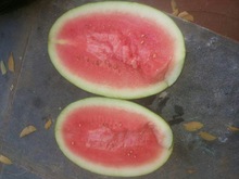 Water Melon, Style : Fresh