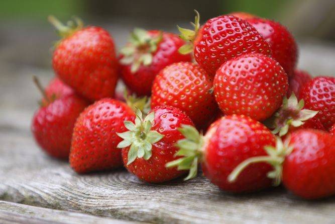 Organic Fresh Strawberry, Color : Red