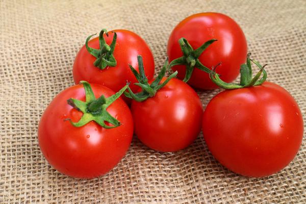 Organic fresh tomato, Shelf Life : 3-7days, 7-10days