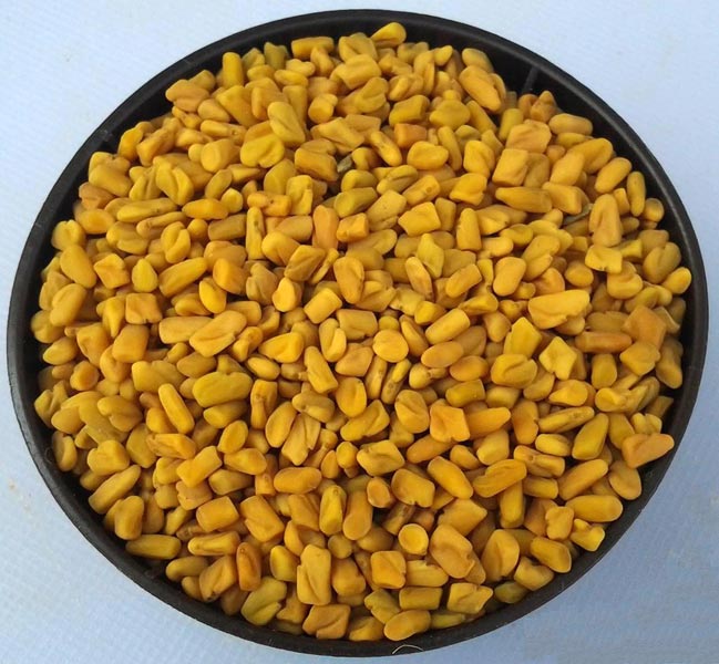 fenugreek