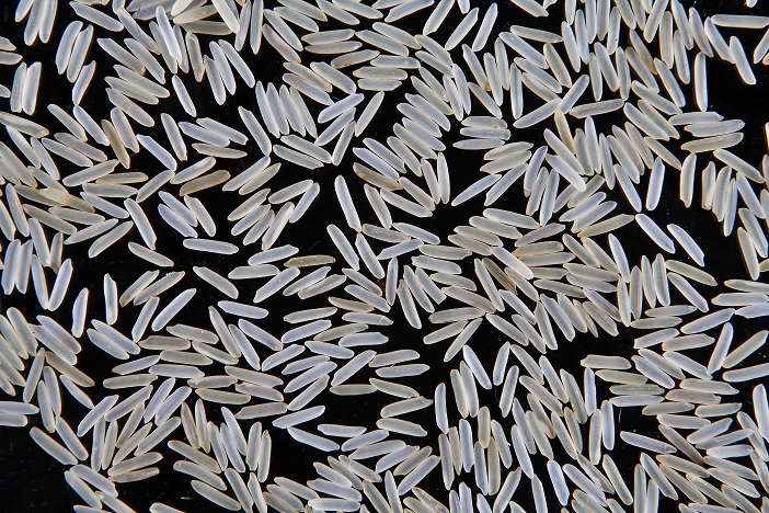 Indian long grain basmati rice, Color : White