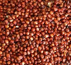 Glutinous Red Sorghum