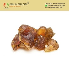 Guggul Gum Extract