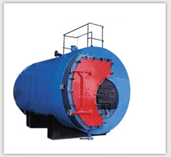 Solid Fuel Fired Hot Water Generators