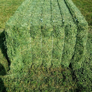 High Quality Animal Feed Alfalfa Hay From Ukraine Buy high quality animal  feed alfalfa hay