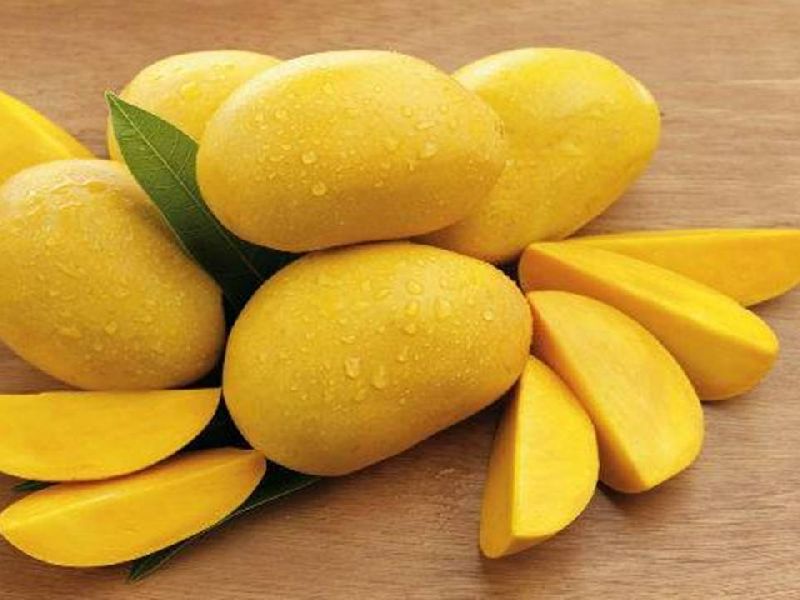 Organic Fresh Mango,fresh mango