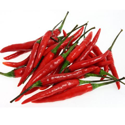 Organic Fresh Red Chilli, Feature : Dairy Free, Low Sodium