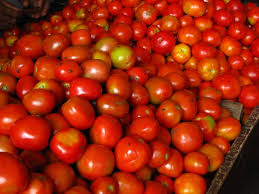Organic Fresh Tomato, for Cooking, Skin Products, Packaging Size : 5-20kg
