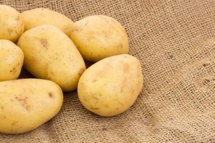 Organic fresh potato, Feature : Early Maturing