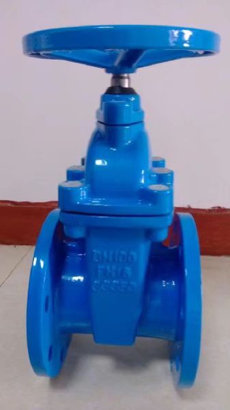 Resilient Seated Gate Valve