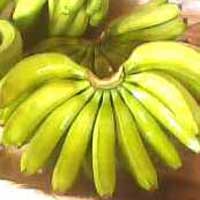 Organic fresh banana, Packaging Type : Crate, Gunny Bag