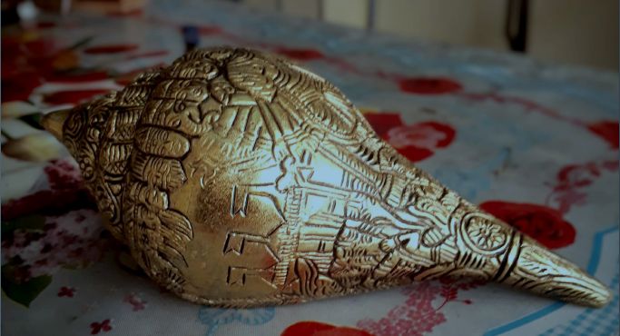 Handicraft Conch Shells