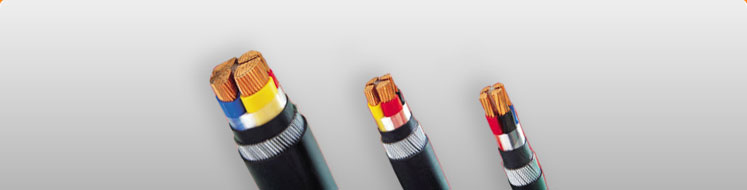 Xlpe Insulated Low Voltage Cables
