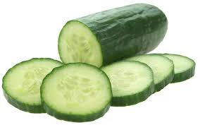 Organic Fresh Cucumber,fresh cucumber