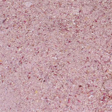 Dehydrated Red Onion Granule