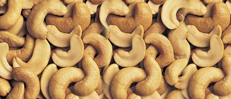 Cashew nut