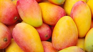 Common Fresh Mango,fresh mango, for Direct Consumption, Food Processing, Juice Making, Packaging Size : 10-20kg