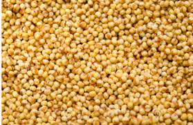 Millet Seeds, Purity : 99%