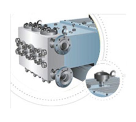 Hironisha Triplex Pumps