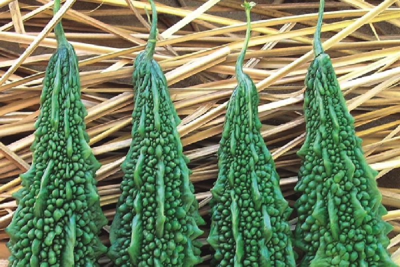 bitter gourd