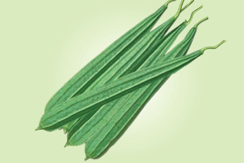 Ridge Gourd