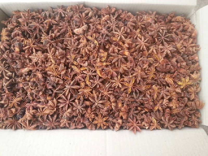 Star Anise Seeds Spring