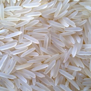 Basmati rice, Variety : –