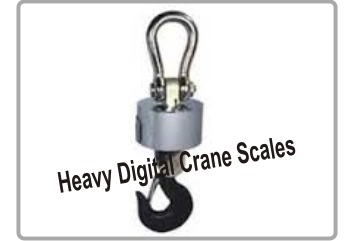 Heavy crane scales