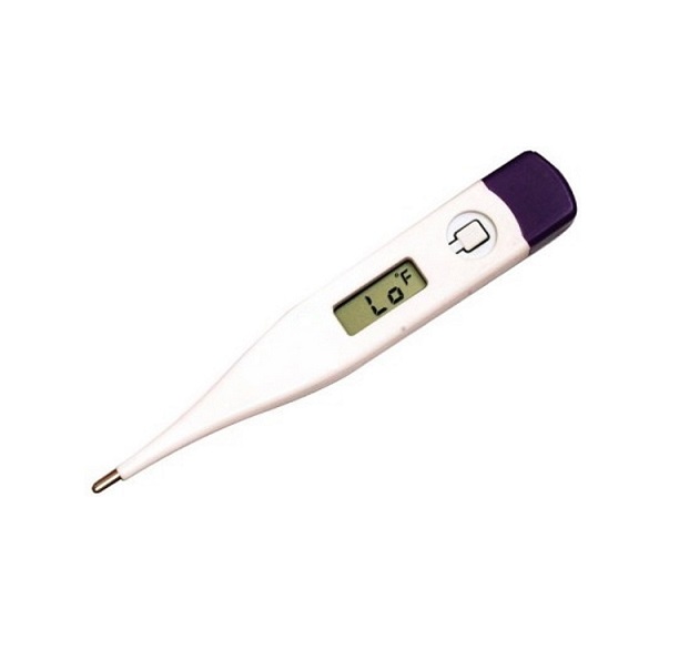 Digital Thermometer C and F