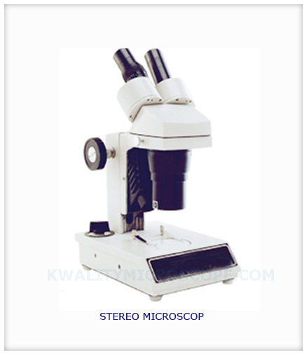 Stereo Microscope