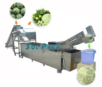 Cabbage Washing and Dicing Production Line