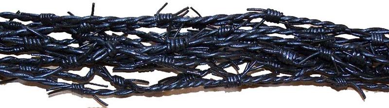 Barb wire leather cords
