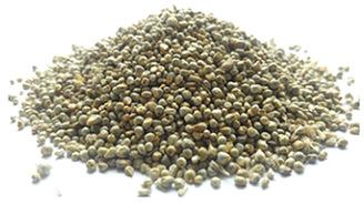 green millet