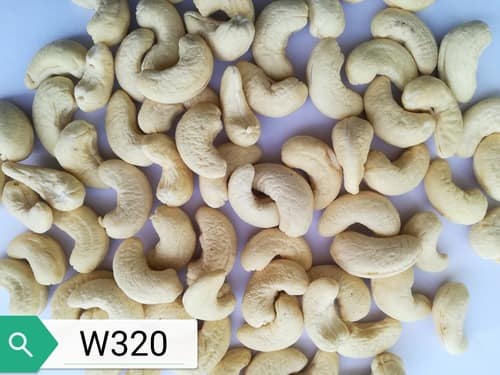 W-320 Grade Cashew Nuts, for Food, Snacks, Sweets, Packaging Type : Pouch, Pp Bag, Sachet Bag, Tinned Can
