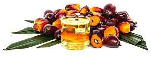 Organic Palm Oil, for Cooking, Cosmetics, Packaging Type : Glass Bottels, Plastic Bottels