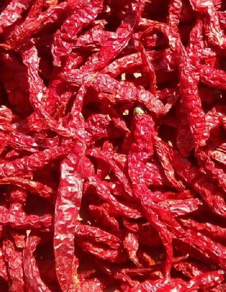 Sarpan Dry Red Stemless Chilli, Packaging Type : Loose, Plastic Packet