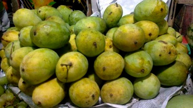 langra mango