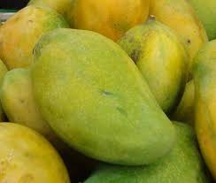 Malgova Mango