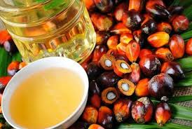 Quality refine palm oil