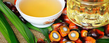 Super Quality Refined Palm oil