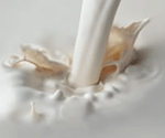 Edible Grade Lactose Powder