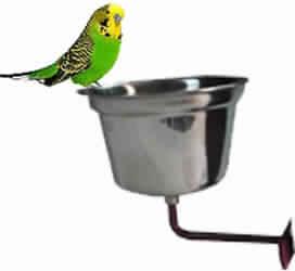 Parrot cup