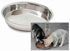 Puppy Dish & Cat Dish