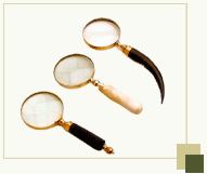 Magnifying glasses with stylish handles