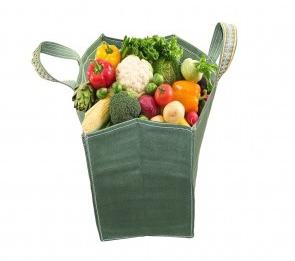 Vegetable Shopping Grocery Bag