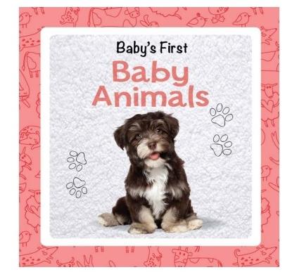 Baby First Early Learning Book, Size : 19.5x19.5cm