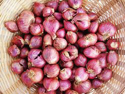 Common red onion, Style : Fresh